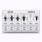 SG-100-AG Pack d'agraphe 100 Pieces