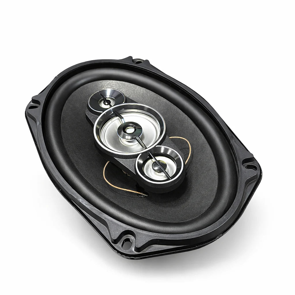 NZ-A6934I Baffe oval 600W 6¨x 9¨
