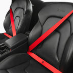 Ceinture de sécurité berger