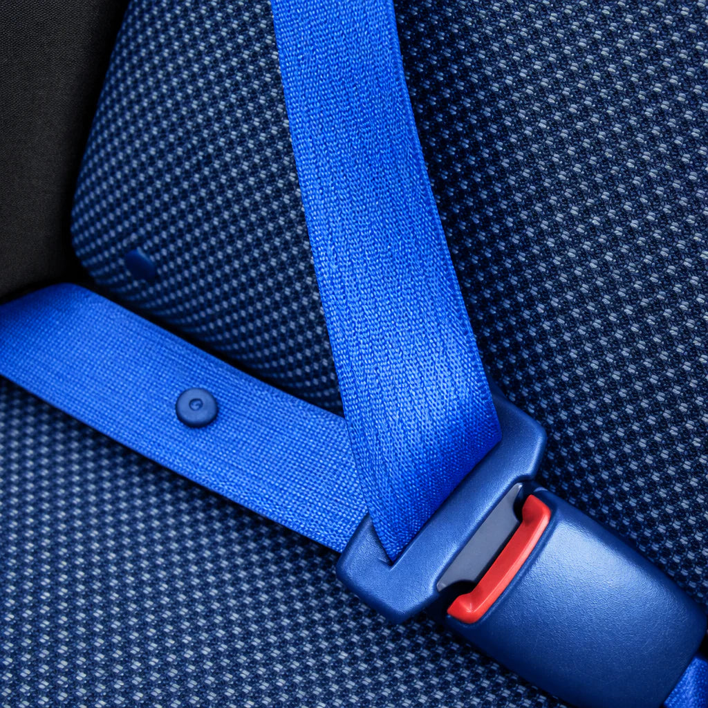 Ceinture de sécurité berger