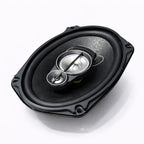 NZ-A6931S Baffe oval 550W 6¨x 9¨